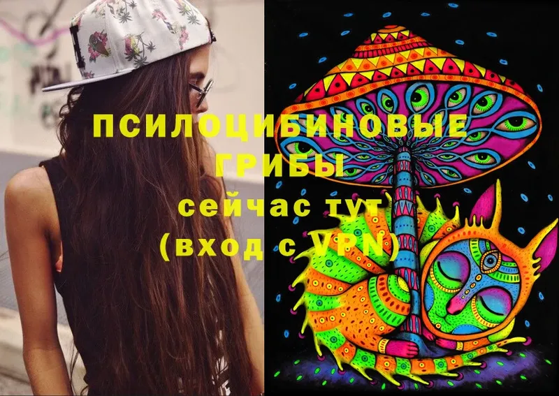 Псилоцибиновые грибы Cubensis  Мензелинск 